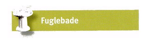 Fuglebad Fuglebad